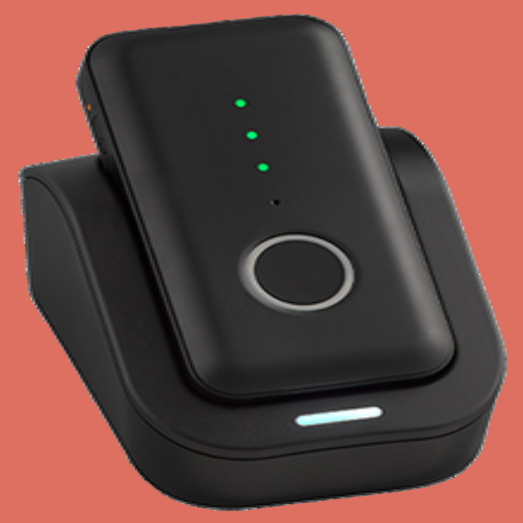 SafetyPlus Gemini Pendant